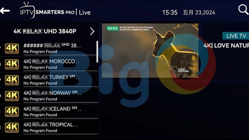 IPTV Québec 4K — Guide Complet 2026 : Chaînes, Prix & Configuration
